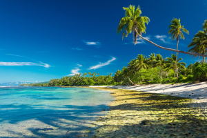 Fiji Five Tour Packages