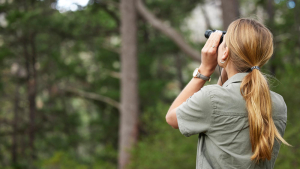Sunny Bird Watching Tour Packages